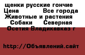 щенки русские гончие › Цена ­ 4 000 - Все города Животные и растения » Собаки   . Северная Осетия,Владикавказ г.